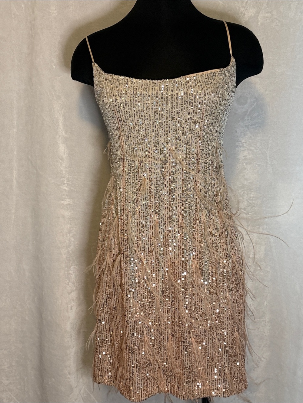 Women’s Sequin Feather Slip Dress in Blush